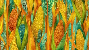 绚丽多彩的玉米田插画