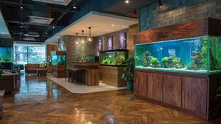 豪华室内水族景观展示厅