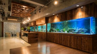 室内大型精美水族箱展示