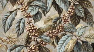 咖啡树图案的精美织物纹理