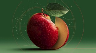 红苹果切面与绿叶特写