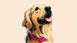 可爱金毛犬头像插画