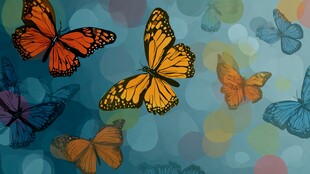 梦幻蝴蝶在多彩背景飞舞