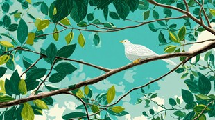 枝头白鸽伴绿叶美景