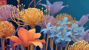 梦幻多彩花卉3D艺术图景