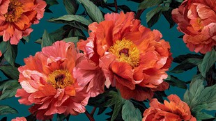 艳丽牡丹花卉图案