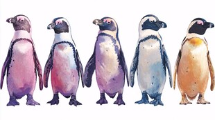 五只多彩企鹅水彩插画