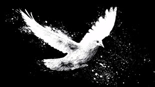 水墨飞鸟 灵动飘逸瞬间