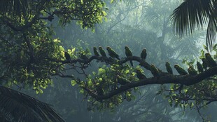 雨林中栖息枝头的多彩鹦鹉