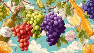 缤纷葡萄与美酒插画艺术