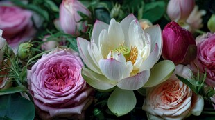 娇艳荷花与玫瑰的花卉组合