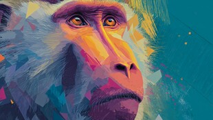 多彩几何风格的猴头画像