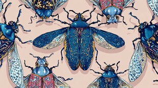 多彩甲虫图案艺术插画