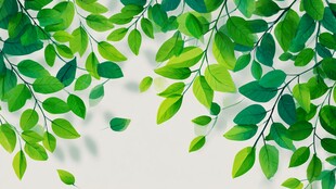 清新绿叶背景图