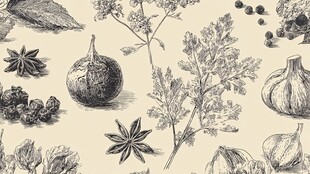 手绘香料植物图案集合