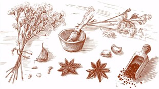 手绘香料草药静物图