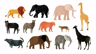 多样野生动物插画集合