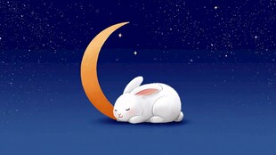 月夜下酣睡的可爱玉兔