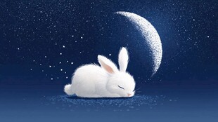 月夜眠兔