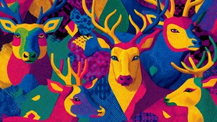 多彩鹿群艺术插画