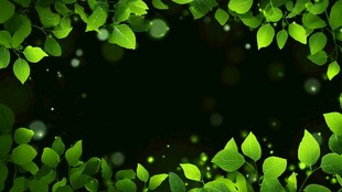 绿叶环绕的梦幻黑色背景