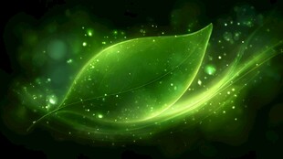 梦幻绿光叶片背景图