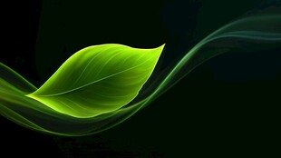 绿色幻彩叶片梦幻背景图