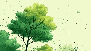 清新绿意盎然的树木风景