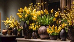 黄色郁金香花瓶精美组合