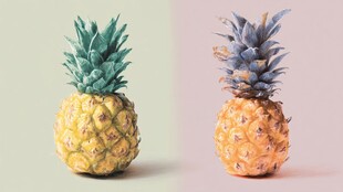 两色菠萝静物特写