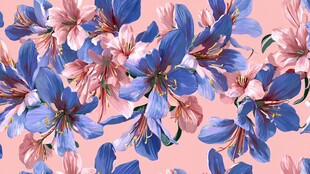 粉色背景上的绚丽花卉图案