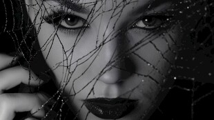 神秘面纱下的魅惑容颜