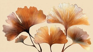 秋日银杏叶的绚丽姿态