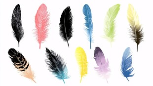 多彩羽毛集合 水彩风素材