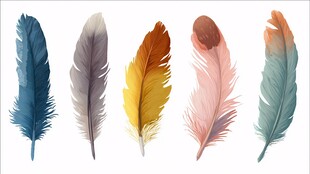 五彩斑斓羽毛插画
