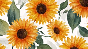 向日葵花卉图案水彩背景