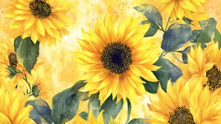 向日葵水彩花卉图案背景