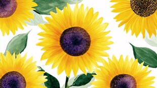 水彩风向日葵花卉图案