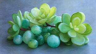 清新绿萌多肉与琉璃珠