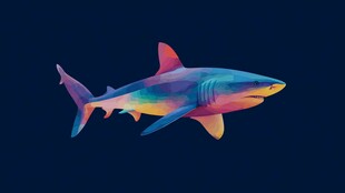 梦幻炫彩鲨鱼插画