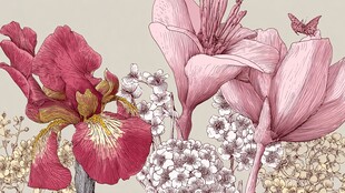 鸢尾花卉与蝴蝶插画