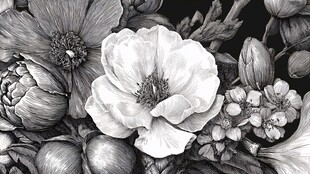 黑白花卉艺术插画