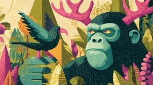 丛林中的猩猩与飞鸟