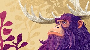 长鹿角的紫色猩猩插画