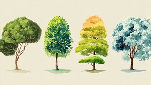 四棵多彩树木插画