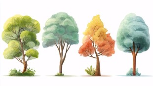 四季树木插画