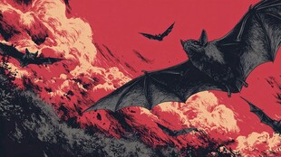 红色天空下的蝙蝠群飞