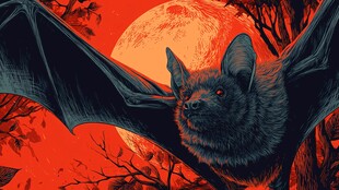 月夜下的蝙蝠剪影