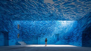 梦幻蓝色艺术空间内的人影