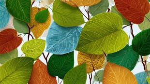 多彩树叶构成的绚丽图案